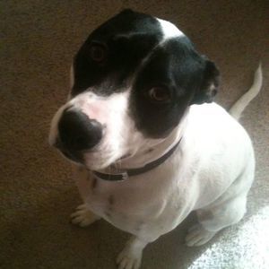 Meet your Posher, Tami